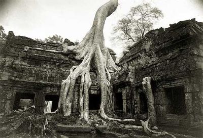 angkor.jpg