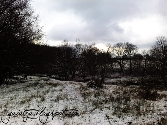 dezna arad motociclism