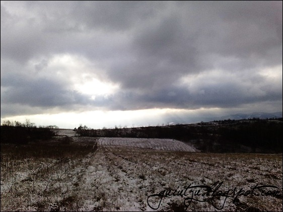 traseu pentru enduro in arad