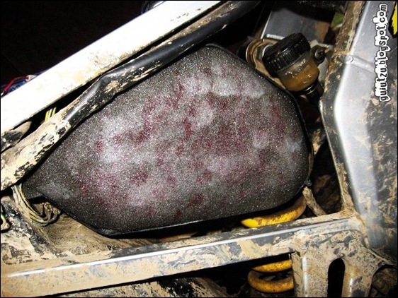 burete filtru de aer