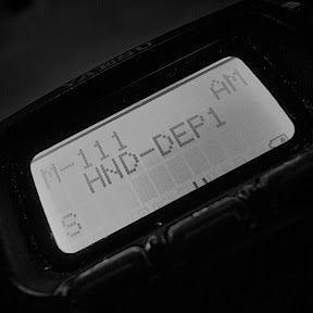 PHOTO: The display of FT-817