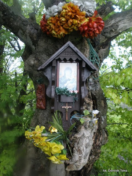 http://lh6.ggpht.com/_A22hZot4HrQ/TALFyHlnX8I/AAAAAAAACtI/B_0UVfAGN2I/s576/nowa%20wie%C5%9B%2C%20kocierska%2C%20kocierz%2C%20cisowa%2C%20isepnicka%2C%20kiczora%2C%20%C5%BCar%2C%20por%C4%85bka%20272.jpg