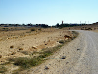 IMGP4632.JPG Photo