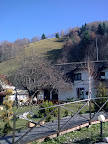 Vecinii2