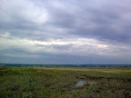 Image0872.jpg