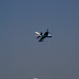 DSC_0185.JPG