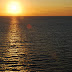 DSC_5155.JPG