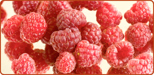 Moshe A Fresh and Wonderful Summer Dessert- Oven-Roasted Summer Fruit.png Moshe A Fresh and Wonderful Summer Dessert Oven Roasted Summer Fruit