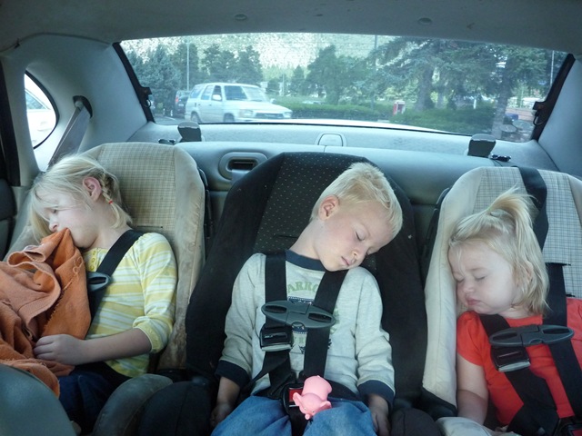 [P1020043[12].jpg]