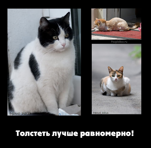 Мотиваторы со смыслом