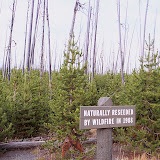 Yellowstone Park Plus 20