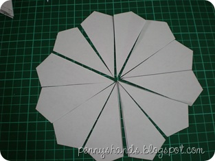 DSCN2217 DSCN2217