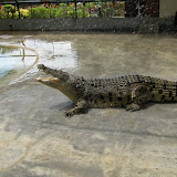 langkawi birthday 2 194.JPG