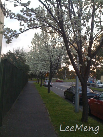 [IMG_20042.jpg]