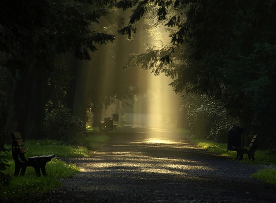HD Nature Wallpapers