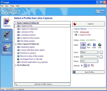 [snagit1[7].jpg]