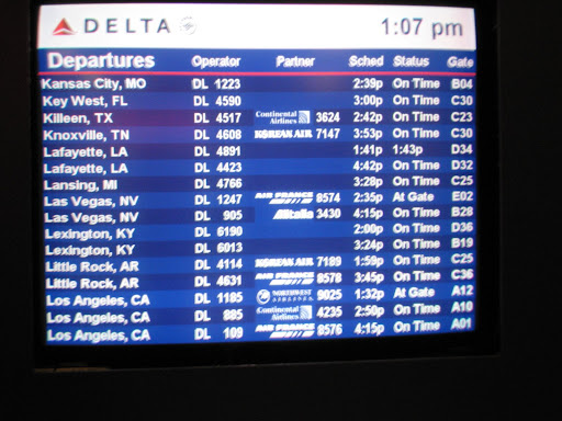 Check the status of a flight