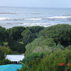 DSC00782.jpg