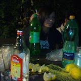 dsc00250.JPG