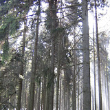 IMG_7939.JPG