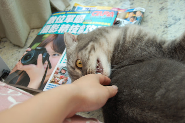 仲乜摸我呀 仲乜摸我呀
