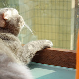 sunbath