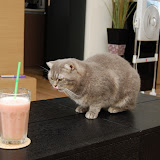special-drink