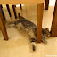 Stretching, 1 2 3