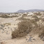 SANY0152.JPG