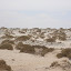SANY0153.JPG