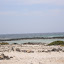SANY0154.JPG