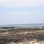 SANY0162.JPG