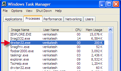 [drwtsn32.exe_process_in_taskmanager5[1].png]