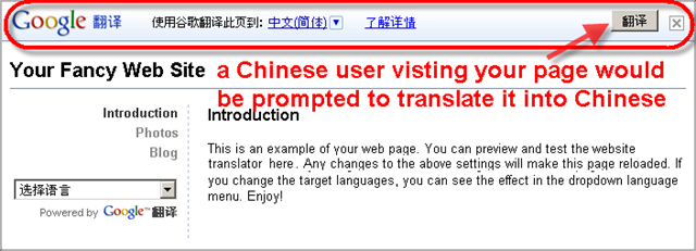 [Different language visitor[3].png]