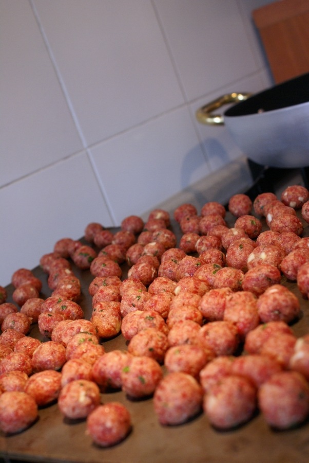[02LePolpette5.jpg]