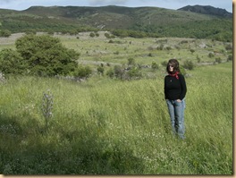 PIC - 009-CIMG1384 PIC - 009-CIMG1384