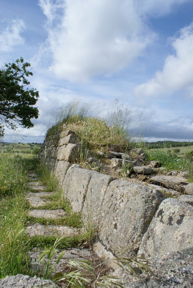 [PIC - 009-DSC06988[12].jpg]