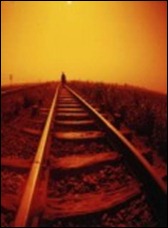 el-camino-de-la-vida