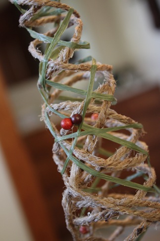 [2009_11_30_4533[1].jpg]