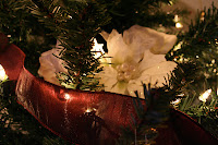 Christmas Tree 2008