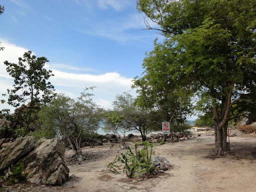 DSC00909.JPG