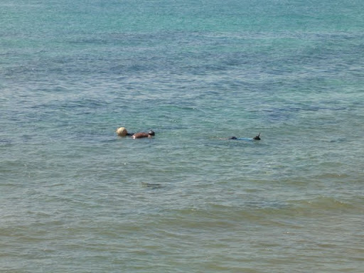 DSC00713.JPG