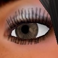 Eye Eye