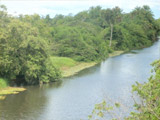 vende se fazenda 385 ha una ilheus bahia