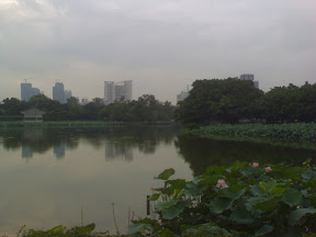 DSC00050.JPG