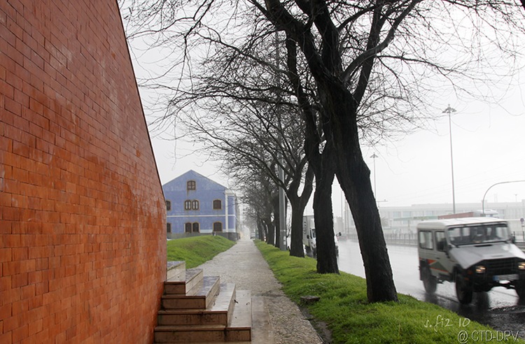 [pedipaper belém 23fev10 056 copy[2].jpg]