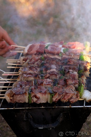 [SMP 058 copy[4].jpg]