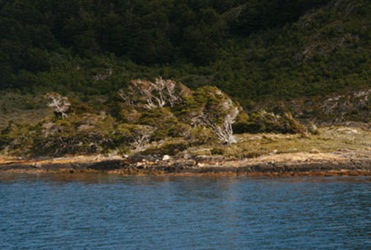 [IMG_12313.jpg]