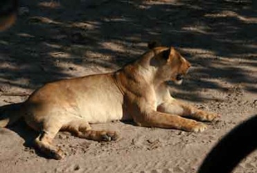 [IMG_62663.jpg]