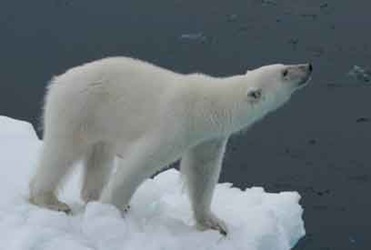 [IMG_94173.jpg]